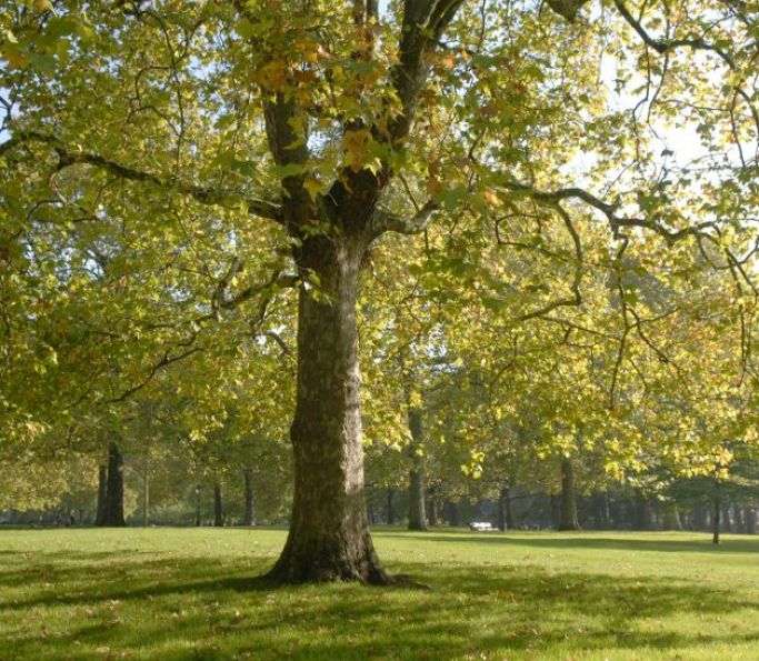 shutterstock 2338918